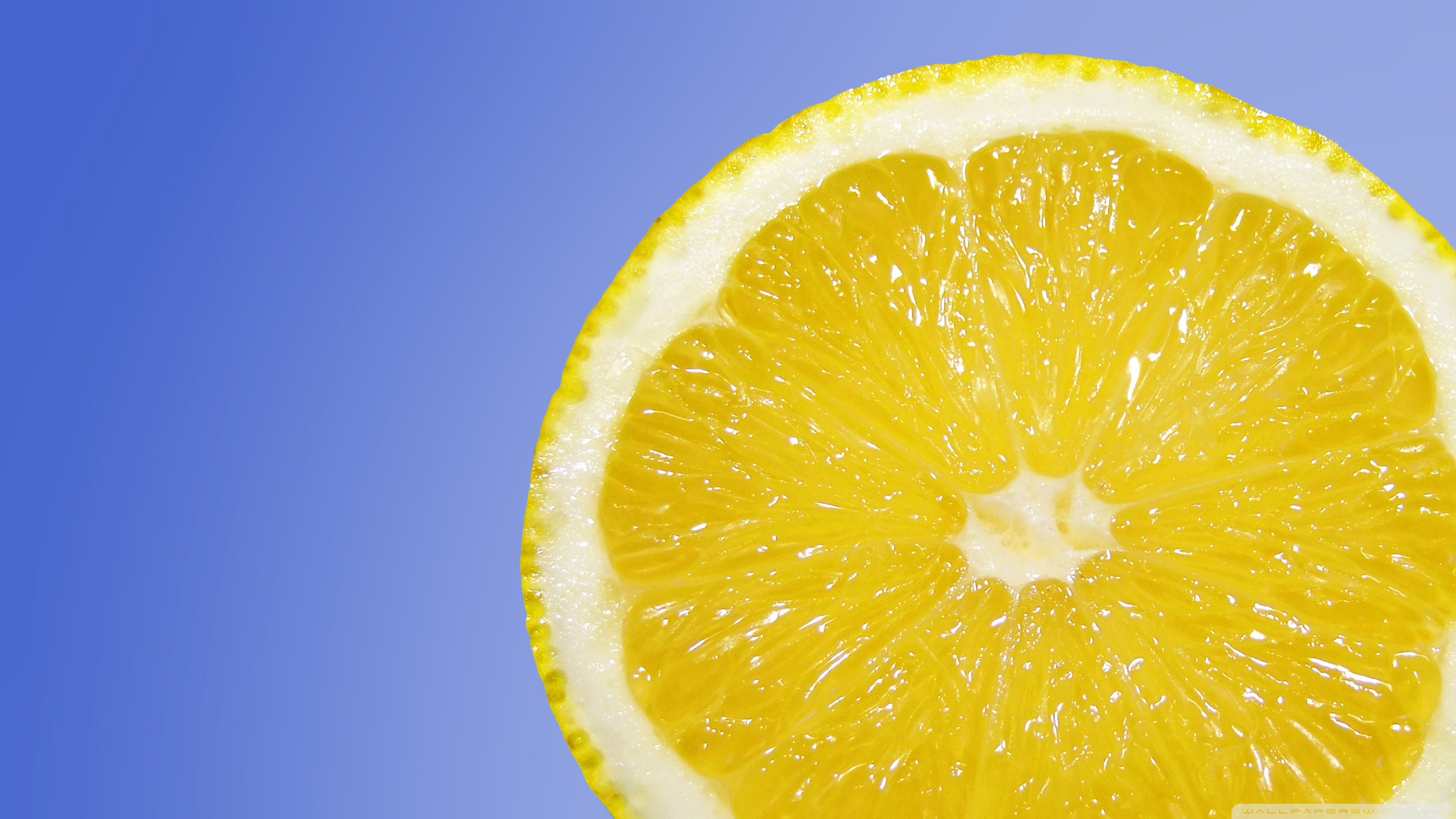 Lemon Free , HD Wallpaper & Backgrounds