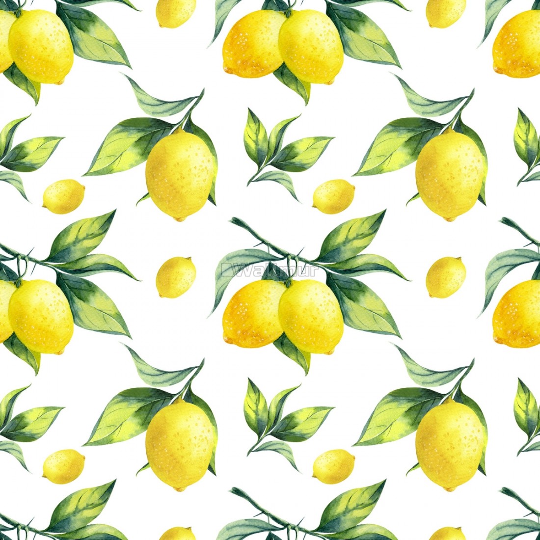 Transparent Lemon Branch , HD Wallpaper & Backgrounds