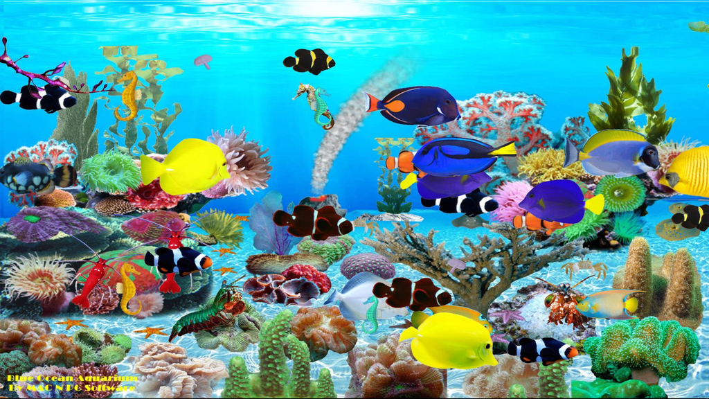 Blue Ocean Aquarium Wallpaper - Ocean Aquarium Fish , HD Wallpaper & Backgrounds