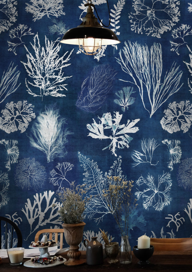 Algae Moss Wallpaper - Tapetti Navy , HD Wallpaper & Backgrounds