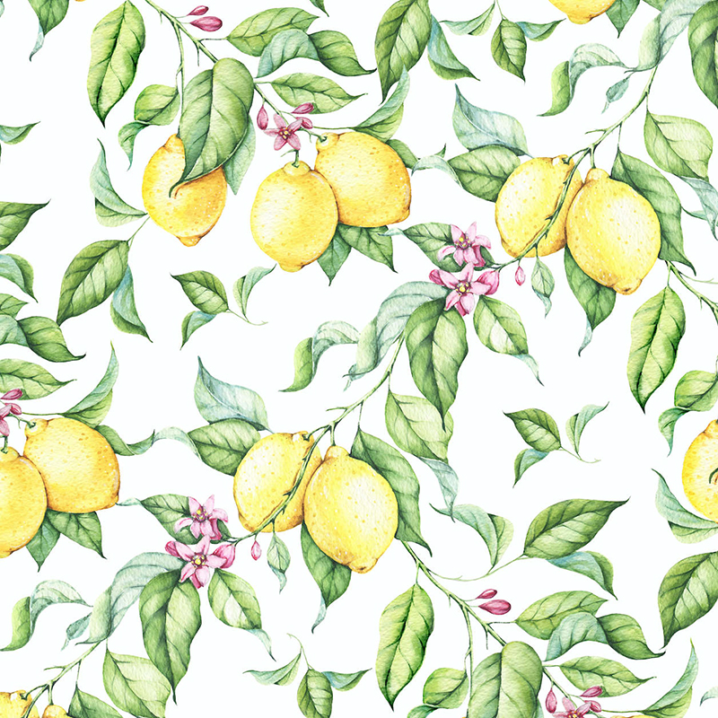 Lemon Watercolor , HD Wallpaper & Backgrounds