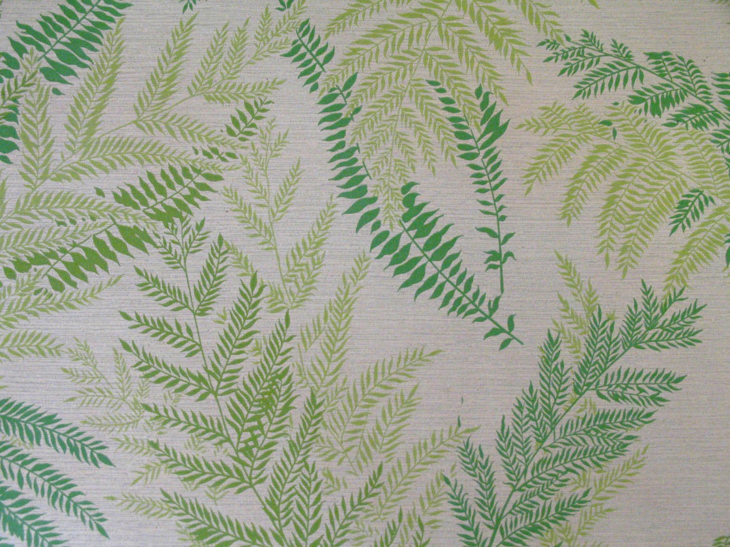 Vintage Fern Leaf Wallpaper Green Silhouette By Vintage73 - Desktop Wallpaper Fern Leaves , HD Wallpaper & Backgrounds