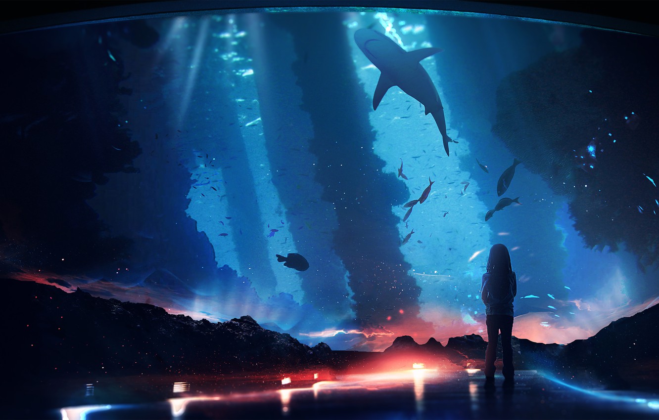 Photo Wallpaper Fish, Fantasy, Shark, Girl, Aquarium - Fransis Derelle Fly Feat Parker Pohill Ncs Release , HD Wallpaper & Backgrounds