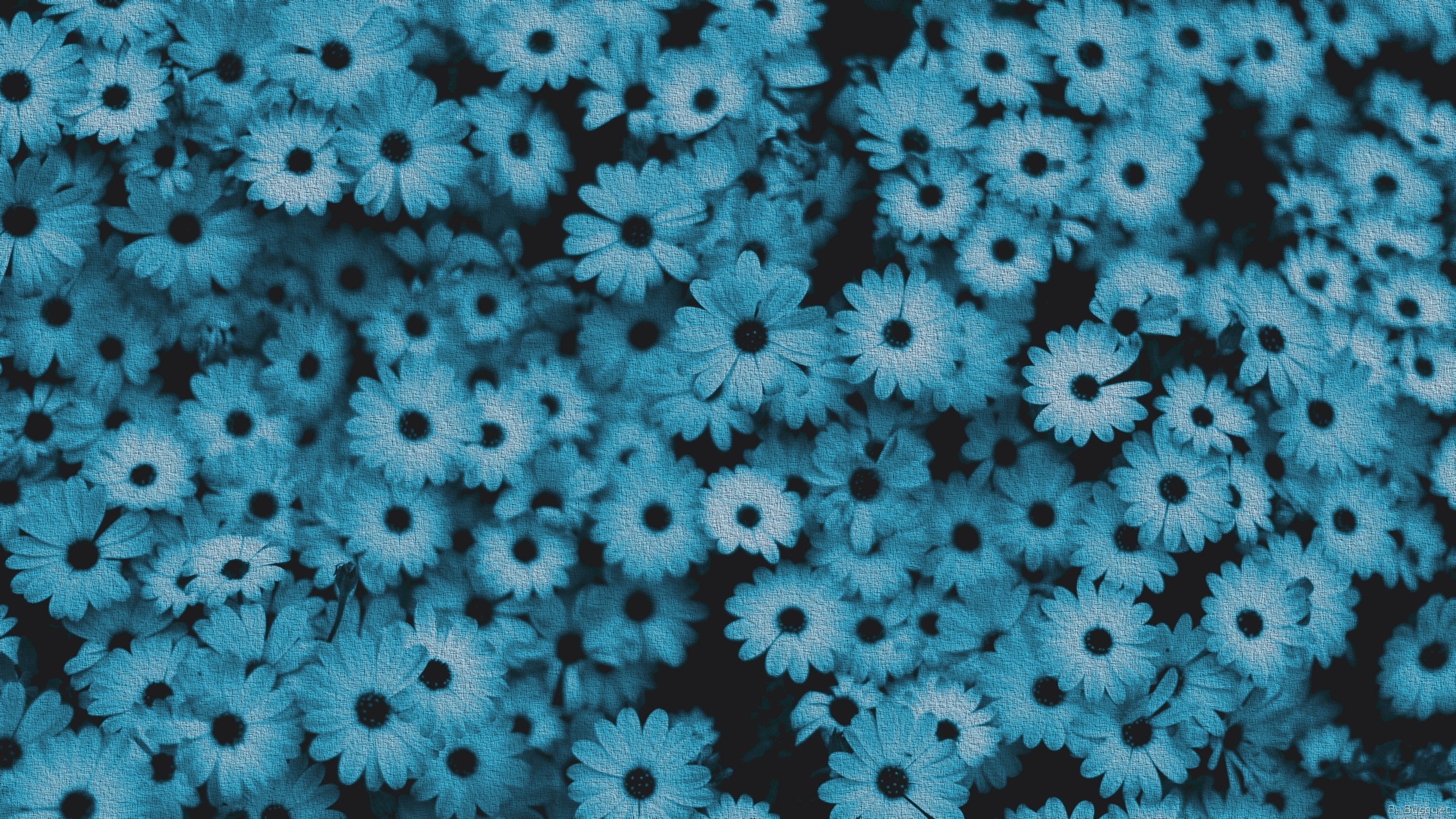 Blue Wallpaper With Flowers 
 Data-src /w/full/0/3/0/76194 - Flowers Wallpaper Daisy Black And White , HD Wallpaper & Backgrounds