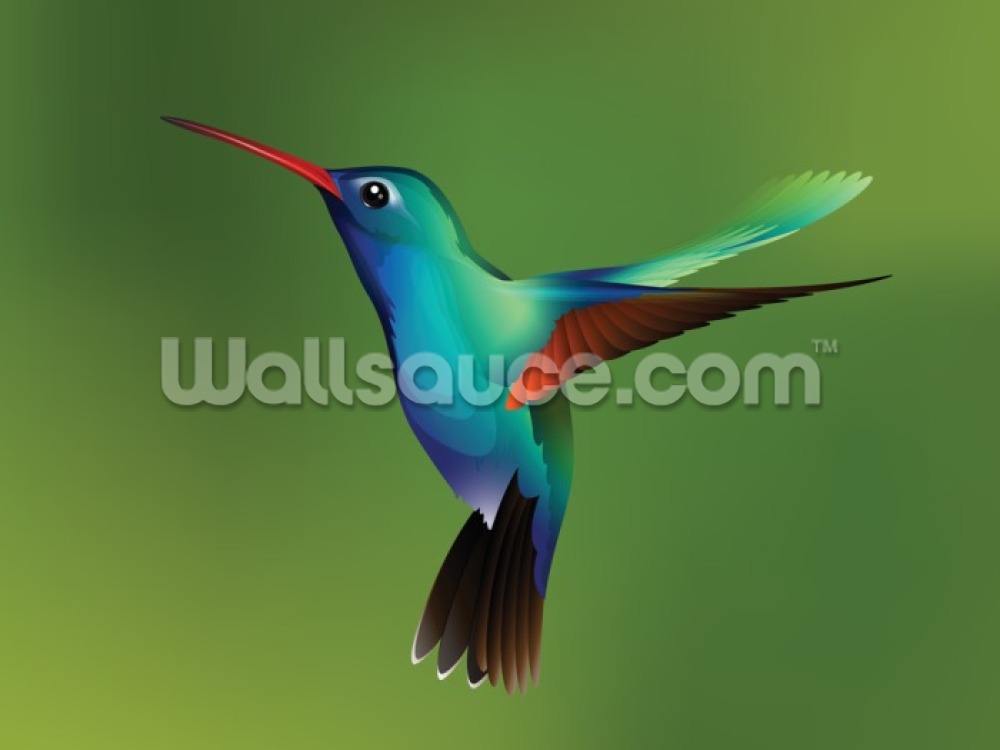 Hummingbird Mural Wallpaper - Coraciiformes , HD Wallpaper & Backgrounds