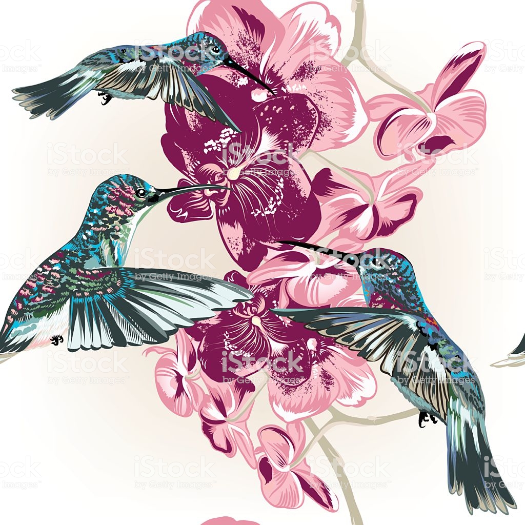 Floral Seamless Wallpaper Pattern With Hummingbirds - Hummingbirds And Orchids , HD Wallpaper & Backgrounds
