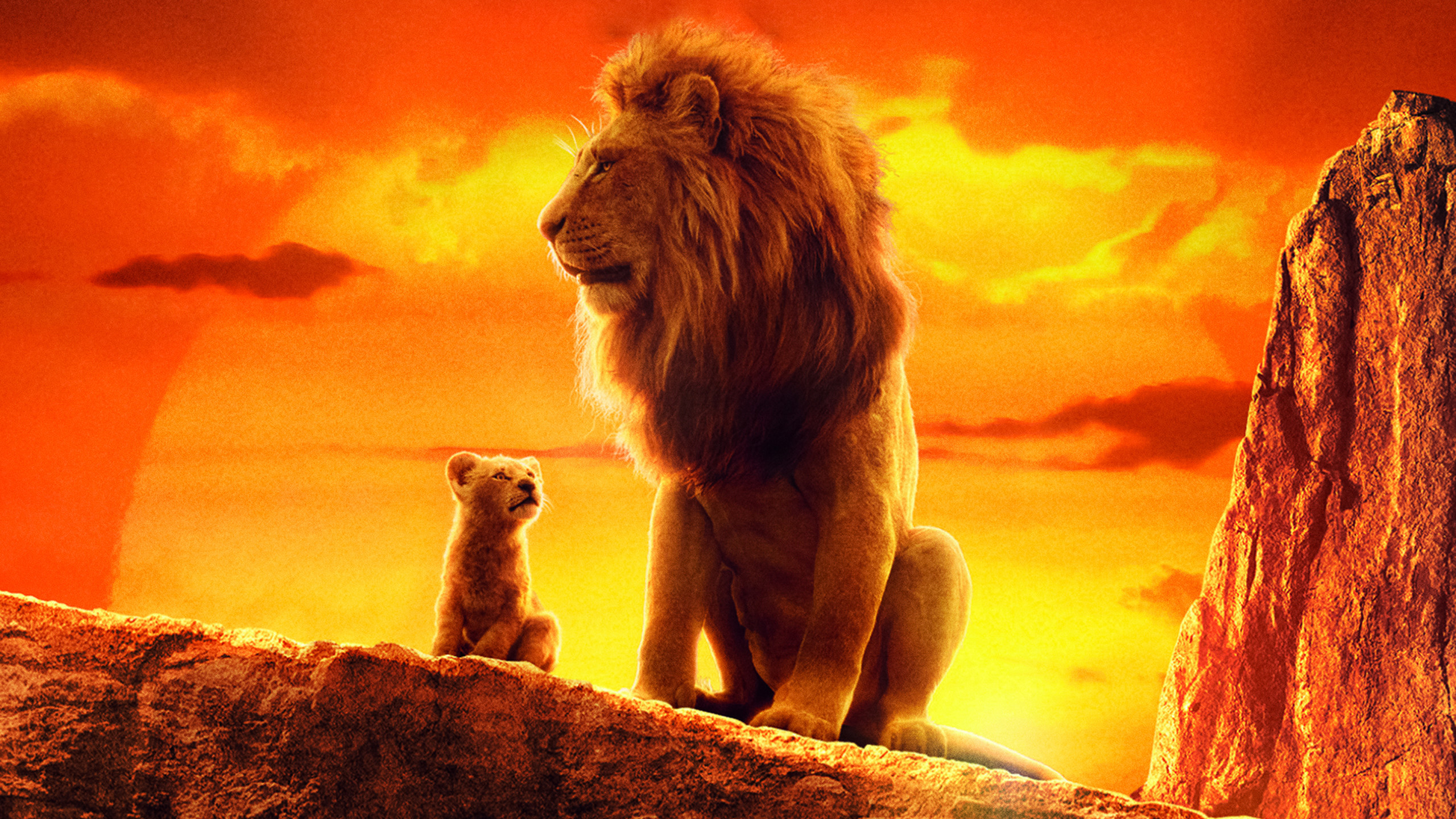 Lion King Wallpaper 4k , HD Wallpaper & Backgrounds