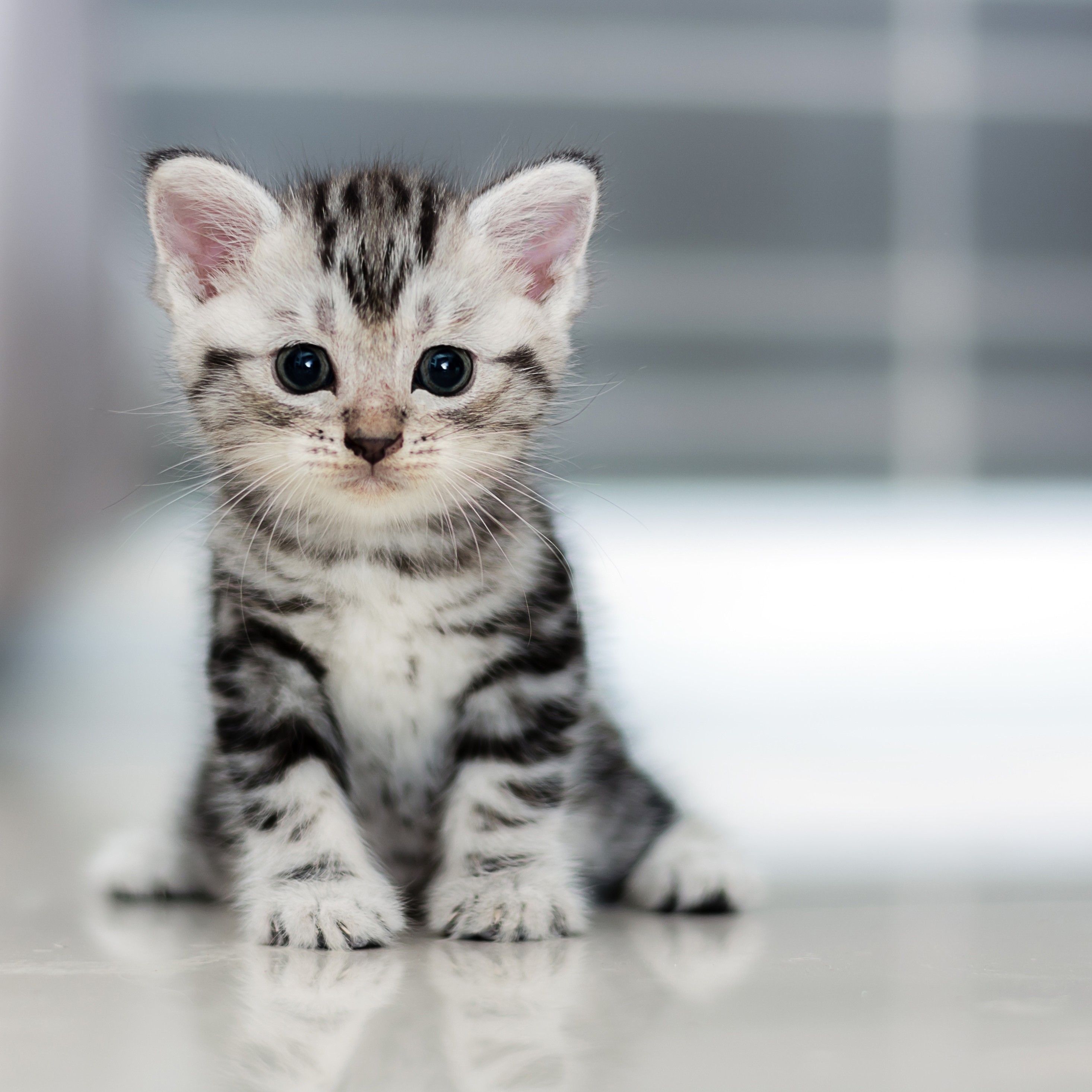 Smallest Pussy