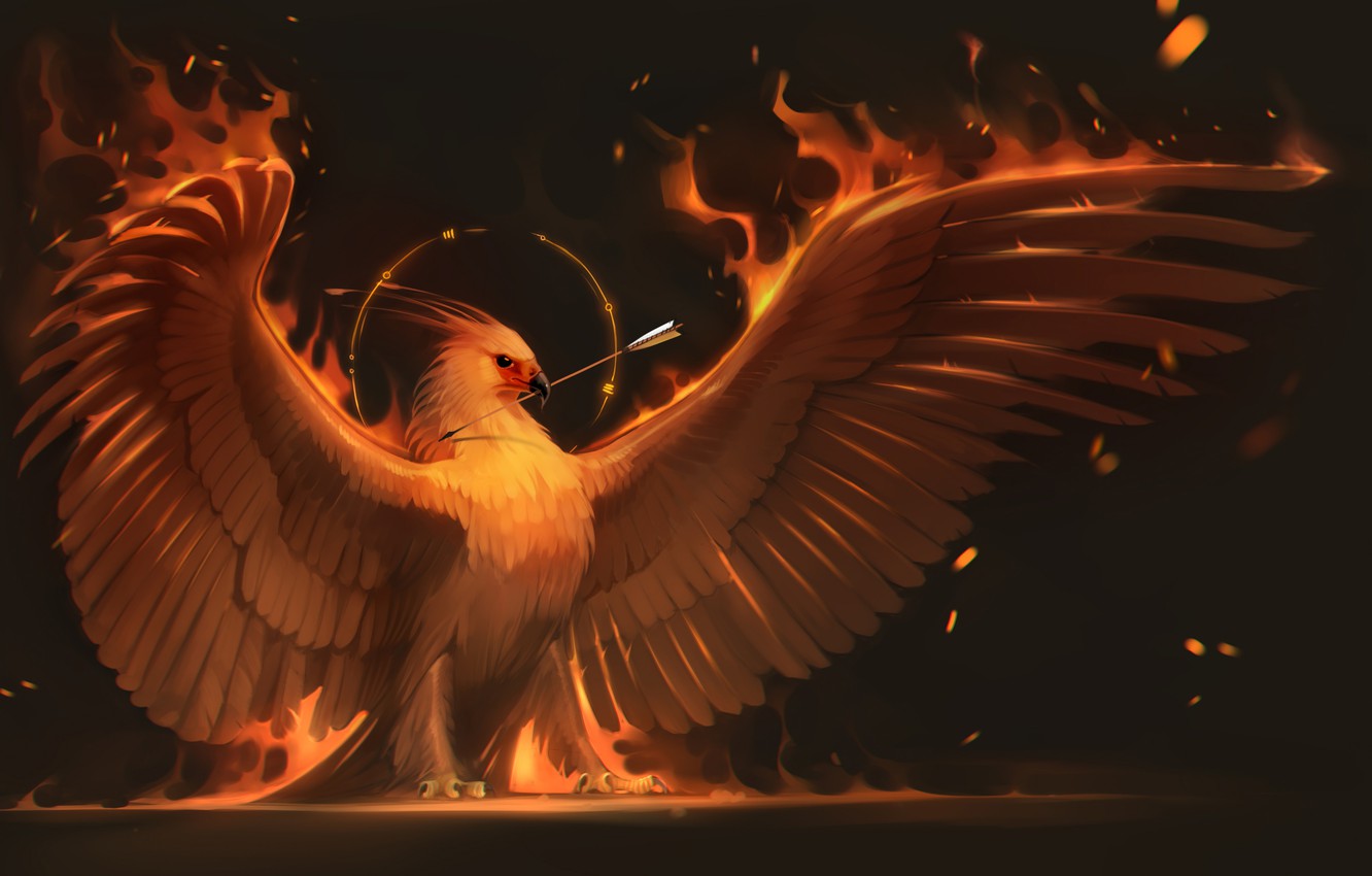 Photo Wallpaper Fire, Bird, Wings, Art, Arrow, Phoenix, - Phoenix Bird , HD Wallpaper & Backgrounds