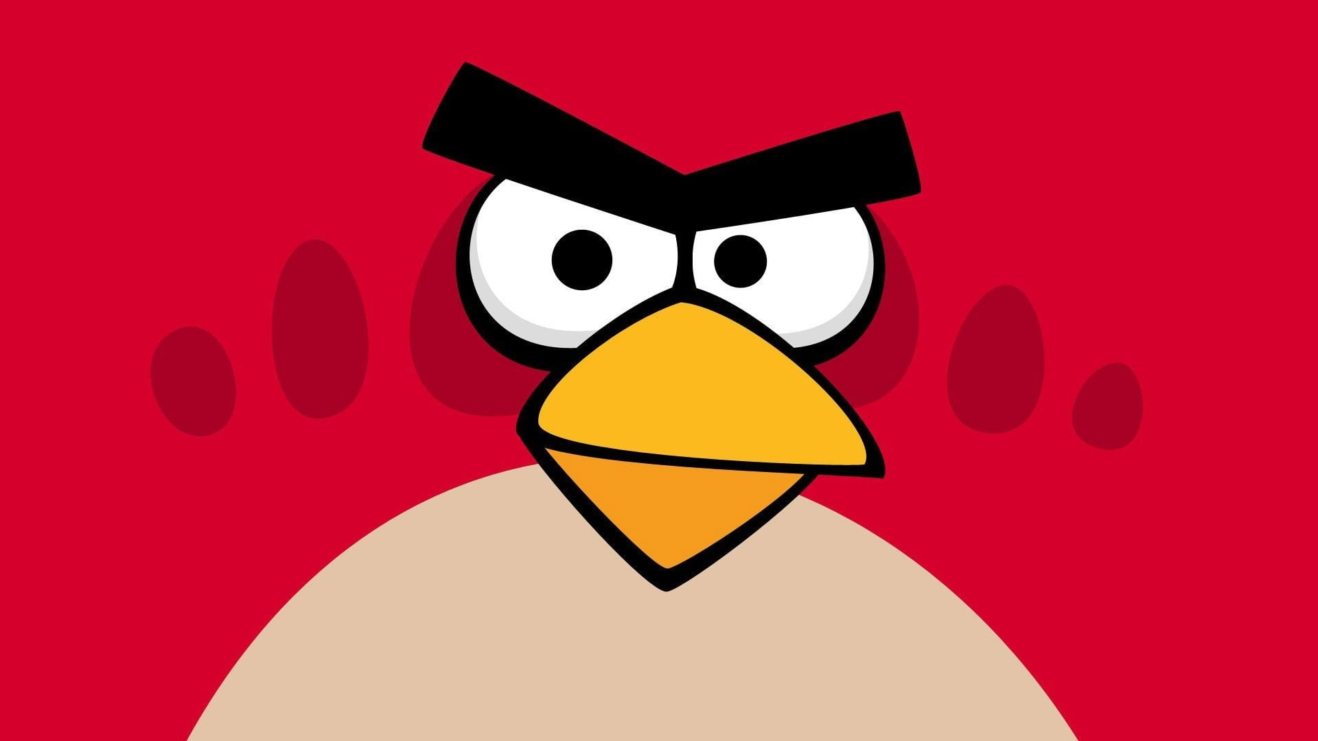 Angry Bird , HD Wallpaper & Backgrounds