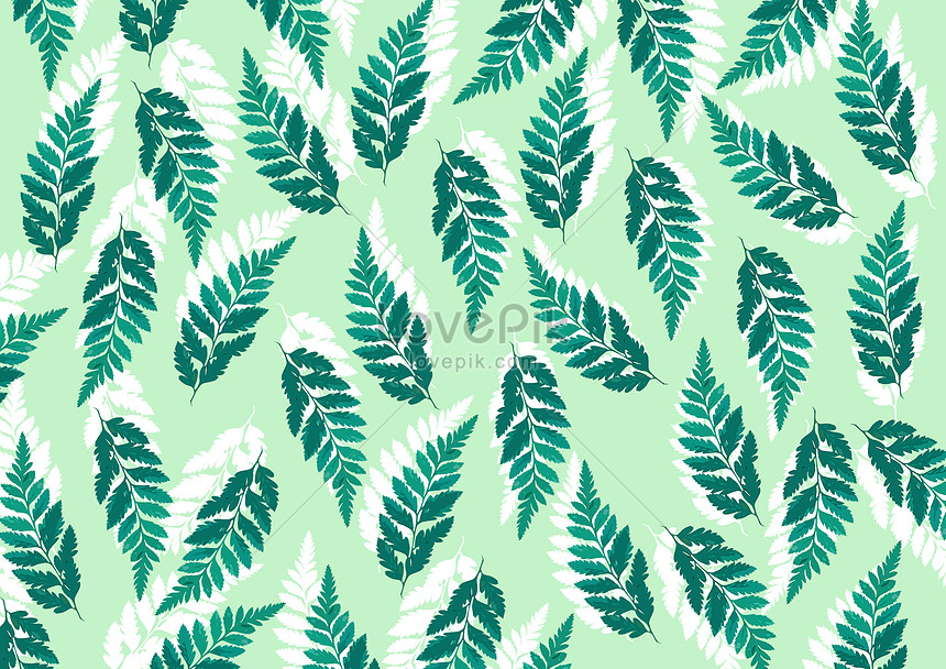 Fern Leaf Wallpaper Photo - 葉子 素材 , HD Wallpaper & Backgrounds