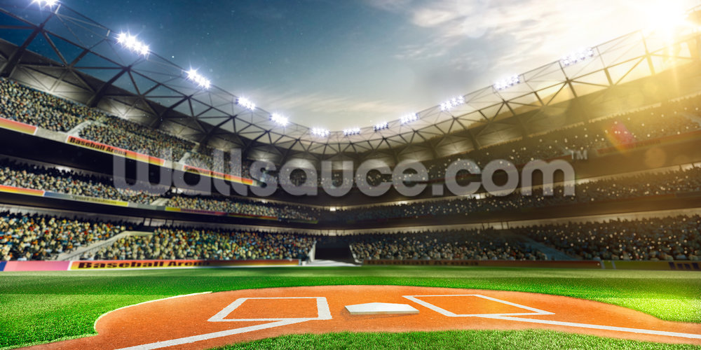 Baseball Stardom Mural Wallpaper - Baseball Marketing , HD Wallpaper & Backgrounds