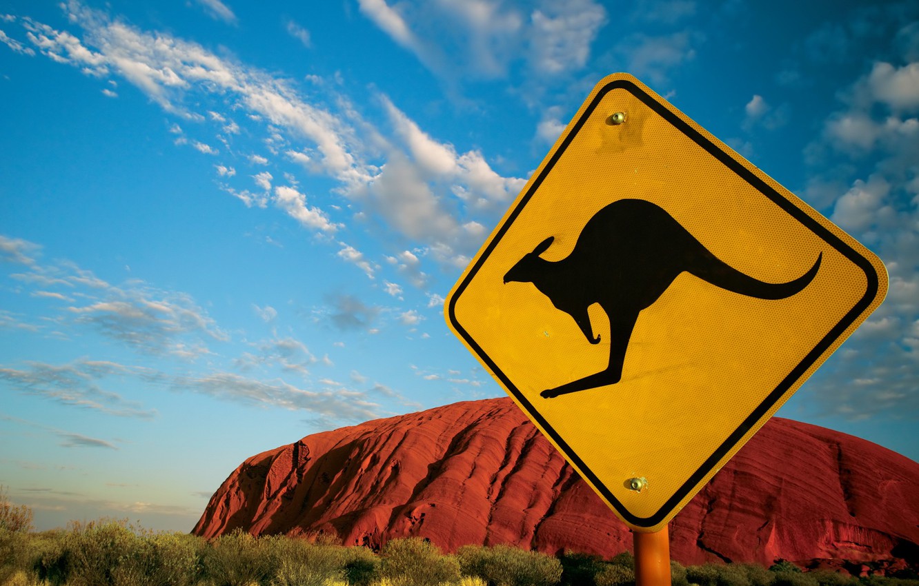 Photo Wallpaper Sign, Australia, 152, Kangaroo - Ayers Rock Kangaroo , HD Wallpaper & Backgrounds