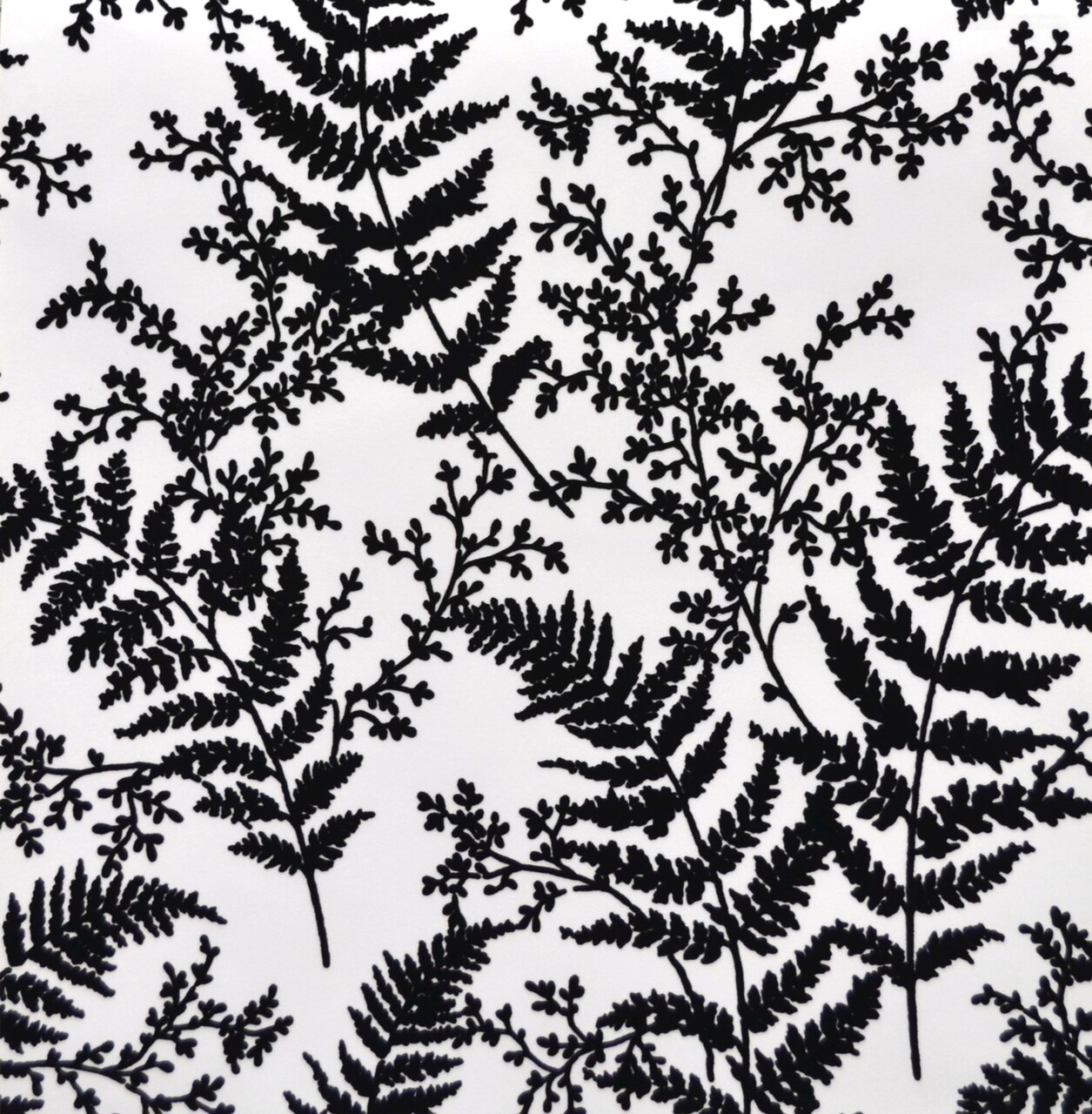 Fern Wallpaper Black White , HD Wallpaper & Backgrounds