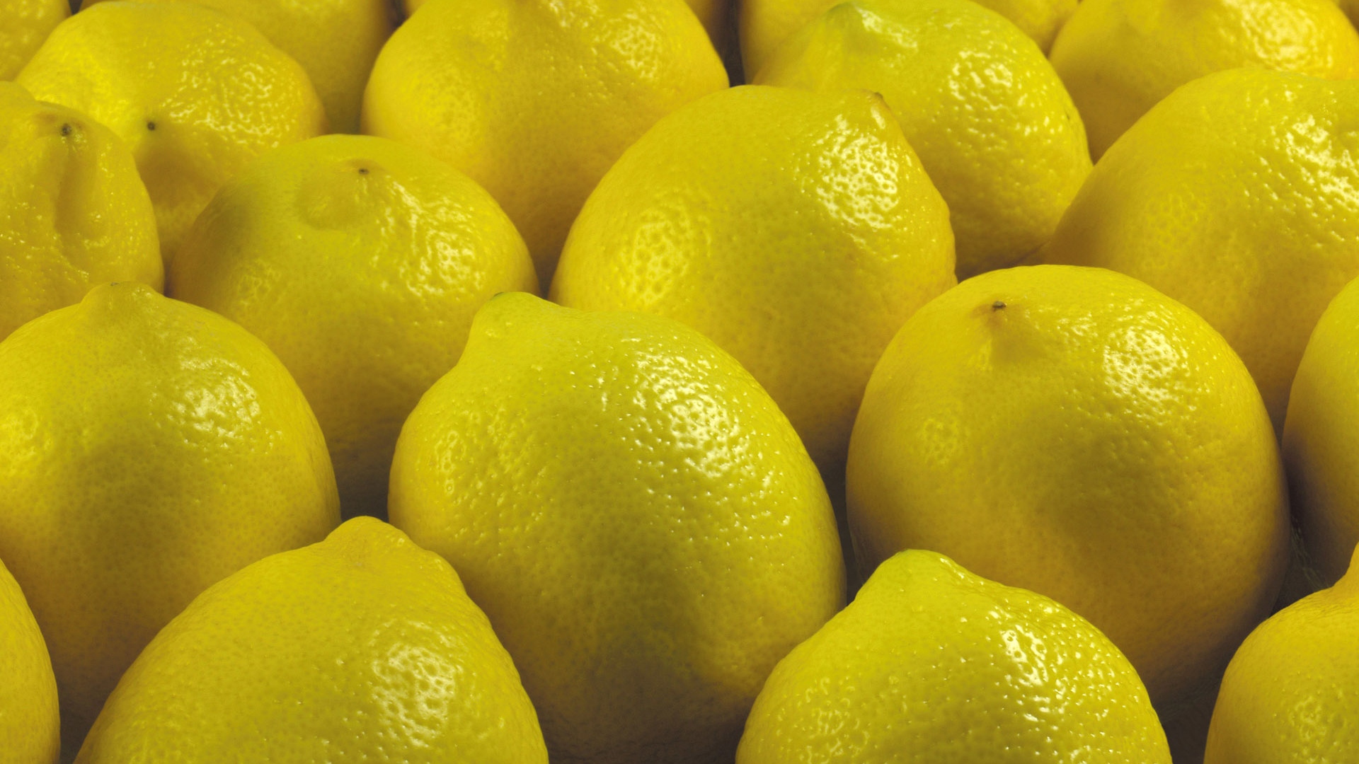 Lemon Coloured Wallpaper - Lemon Yellow , HD Wallpaper & Backgrounds