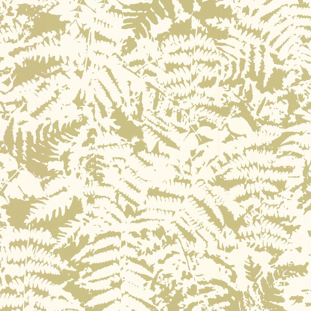 Little Greene Fern Canopy Wallpaper - Little Greene Fern , HD Wallpaper & Backgrounds