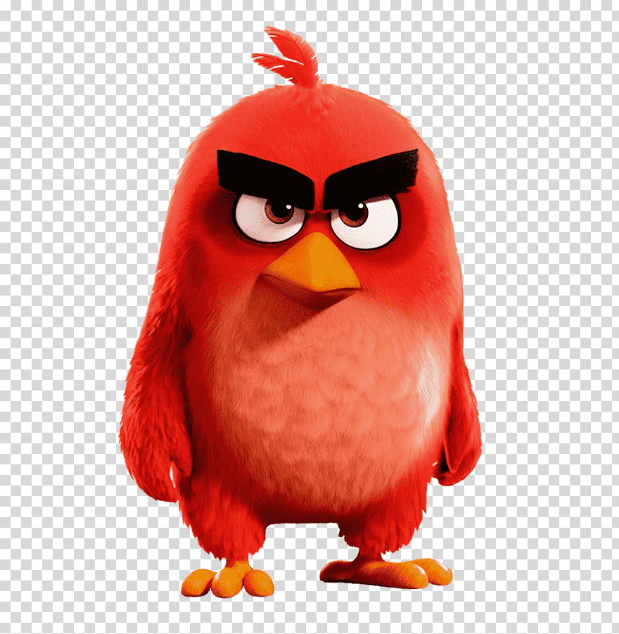 Angry Birds Youtube Drawing Desktop, Bird, Animals, - Red Angry Birds , HD Wallpaper & Backgrounds