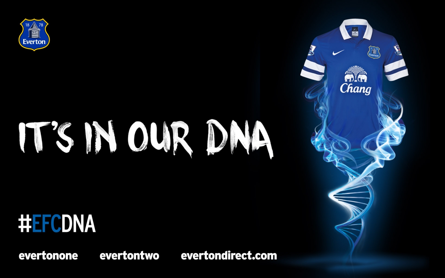 Fc Everton - Everton F.c. , HD Wallpaper & Backgrounds