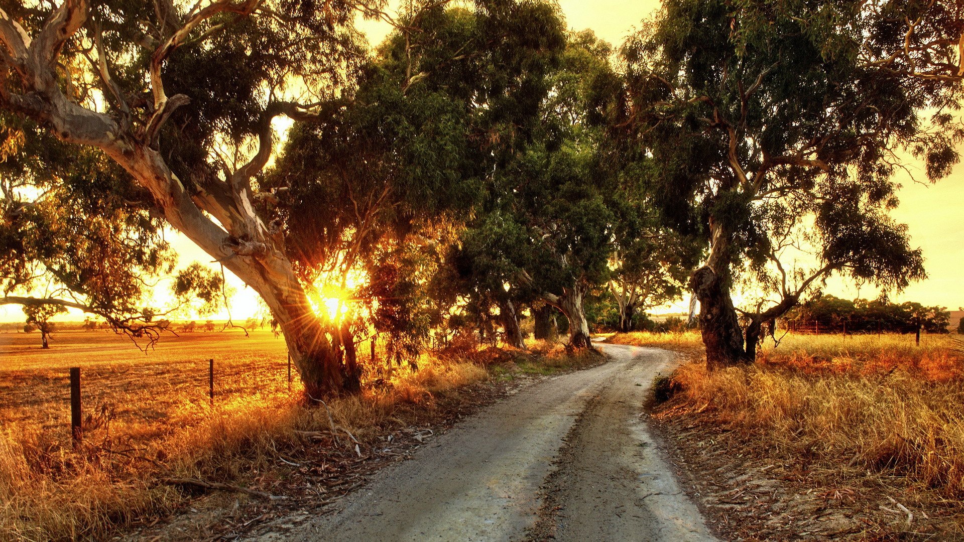 Rural Road In Australia - Landscape Wallpaper Australia , HD Wallpaper & Backgrounds