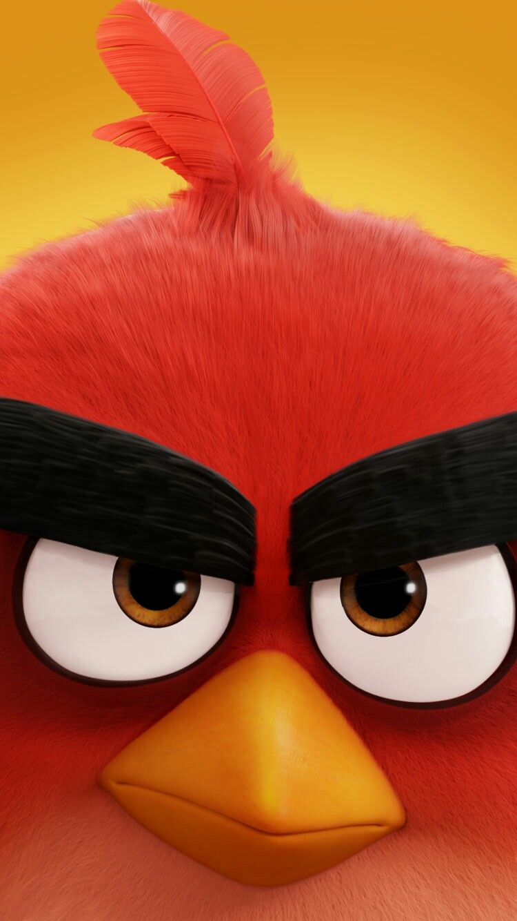 Red Angry Birds , HD Wallpaper & Backgrounds