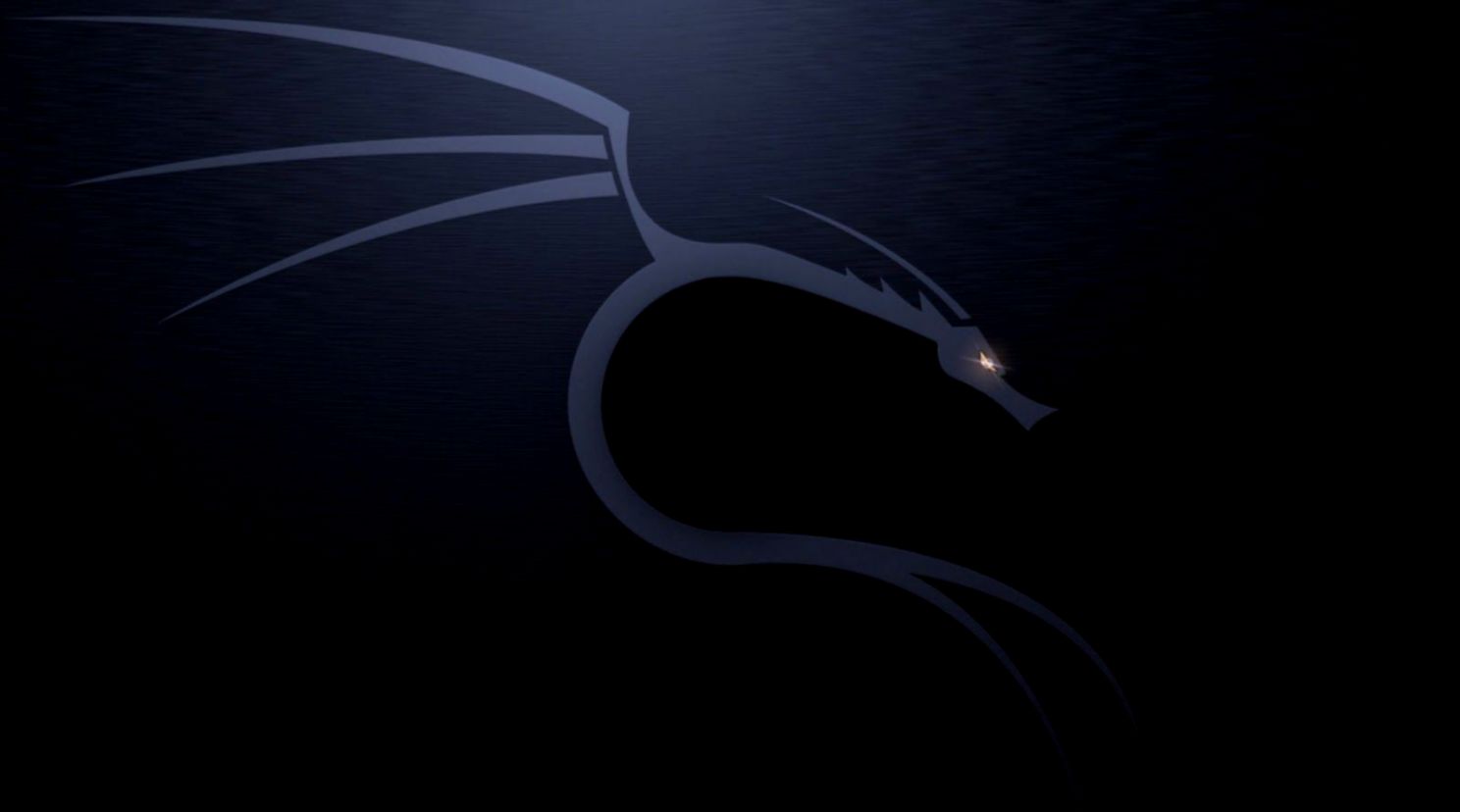 Best Free Kali Linux Wallpapers Hd Download Now Blazing - Backtrack , HD Wallpaper & Backgrounds