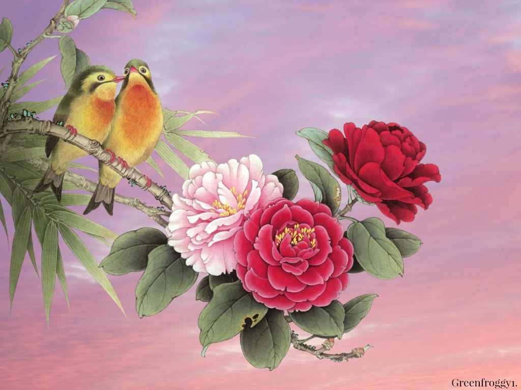 Beautiful Bird - Wall , HD Wallpaper & Backgrounds