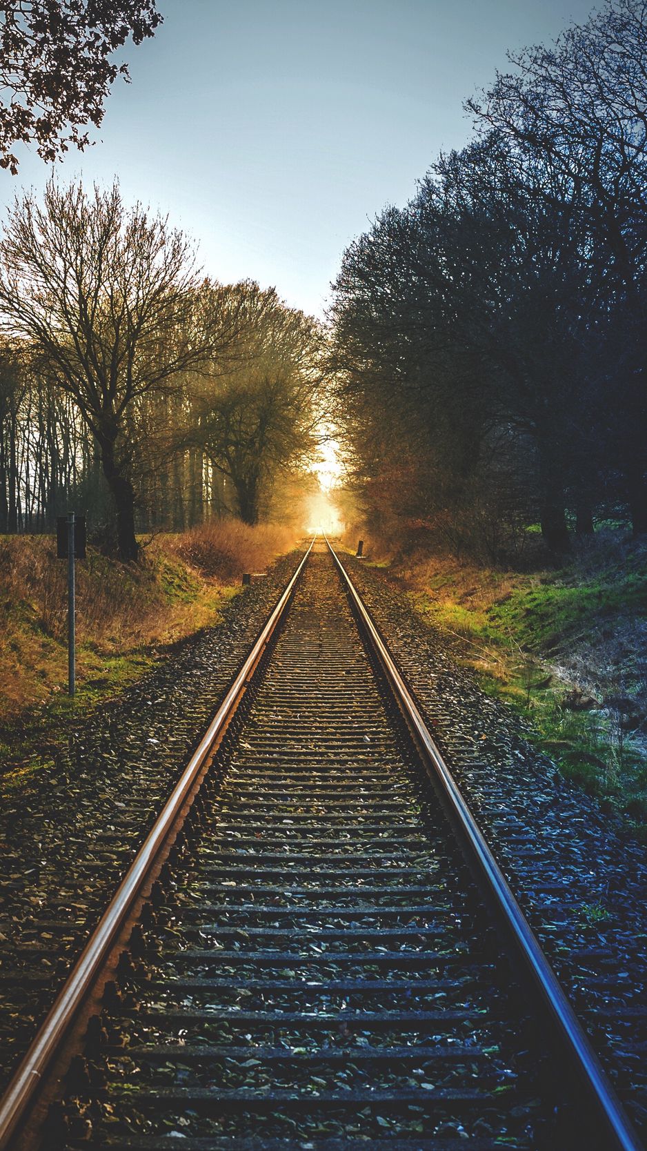 Wallpaper Railway, Trees, Sunset - Обои На Телефон Железная Дорога , HD Wallpaper & Backgrounds