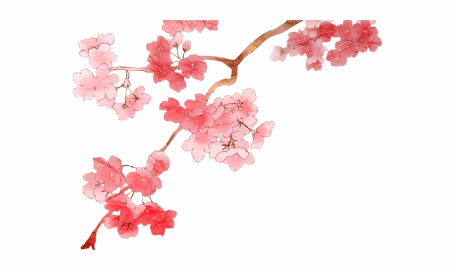 Clipart Wallpaper Blink - Anime Cherry Blossom Transparent , HD Wallpaper & Backgrounds