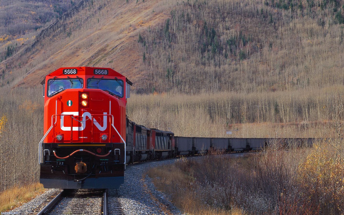 Canadian National Railway , HD Wallpaper & Backgrounds
