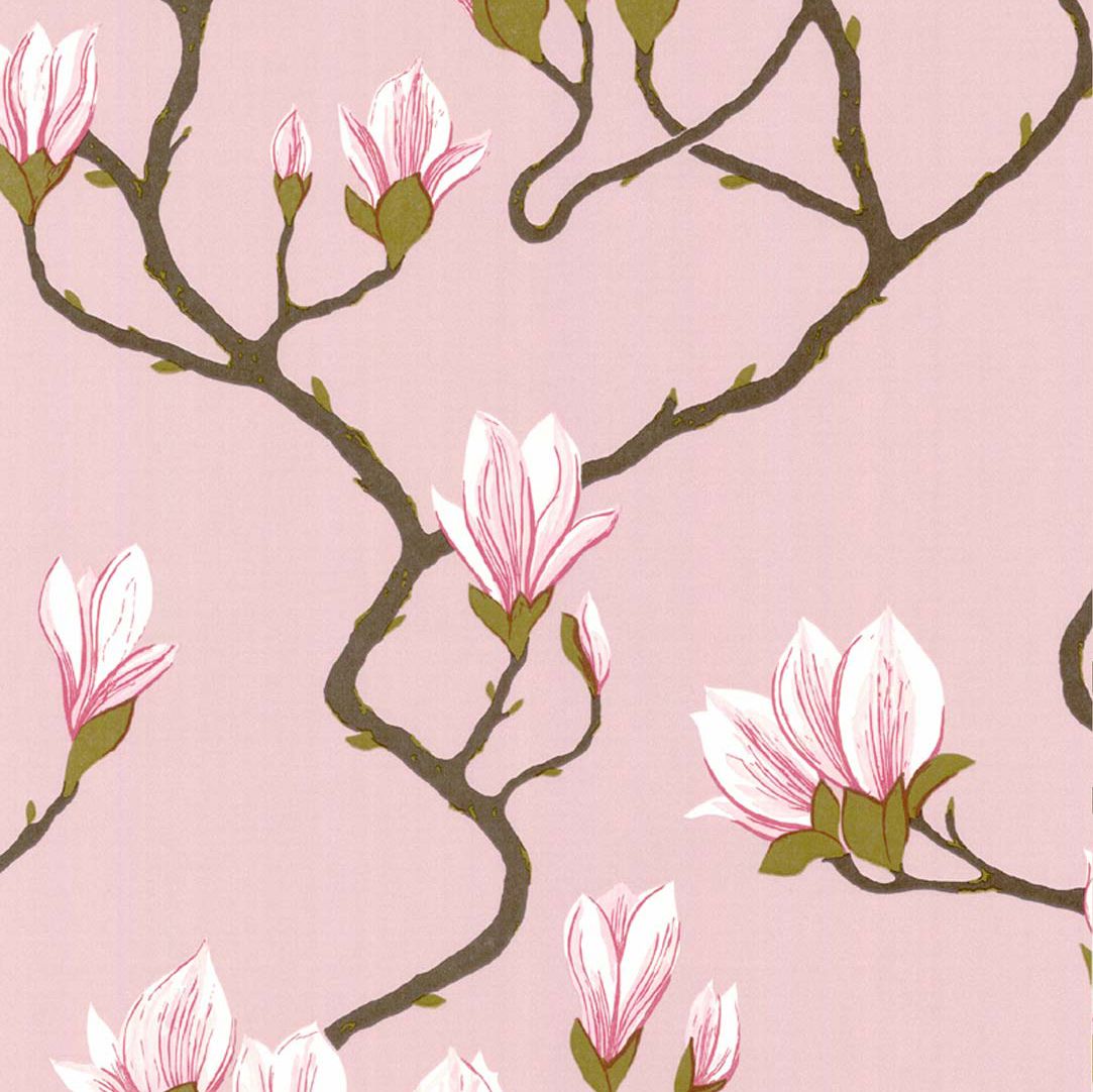 Cole And Son Wallpaper Magnolia 72/3009 - Cole And Son Tapet Magnolia , HD Wallpaper & Backgrounds