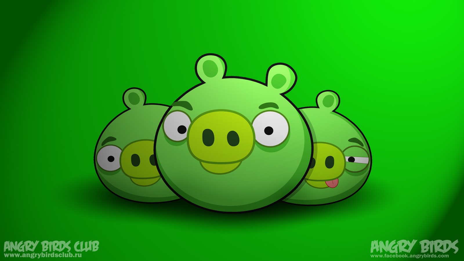 Angry Birds Wallpapers Angry Birds Wallpapers Angry - Angry Birds Pigs Hd , HD Wallpaper & Backgrounds