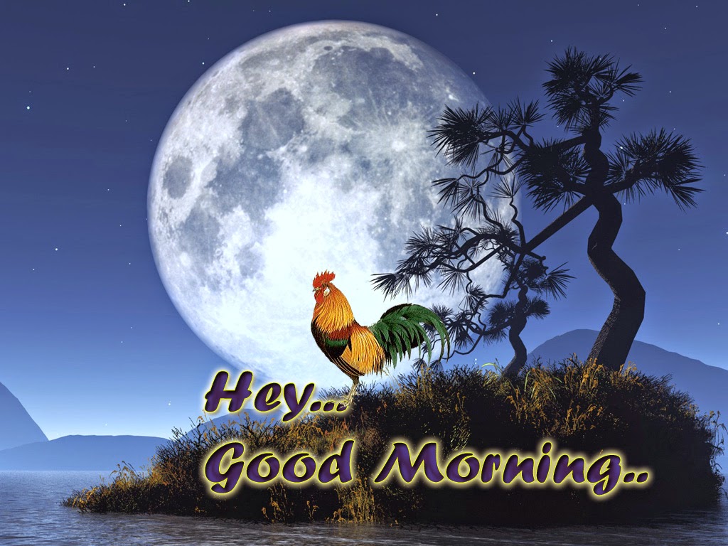 Download Free Hd Good Morning Wallpaper - Gud Morning Photos Download , HD Wallpaper & Backgrounds