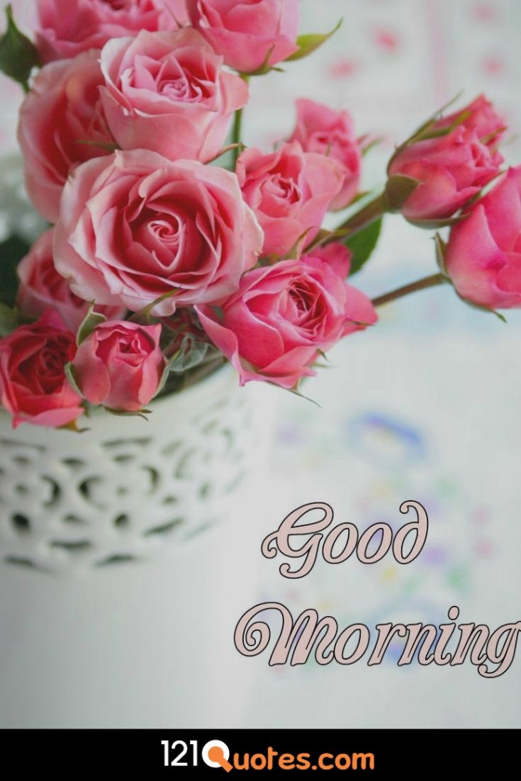 Good Morning Pic With Pink Rose For Free Download - Flower Good Morning , HD Wallpaper & Backgrounds