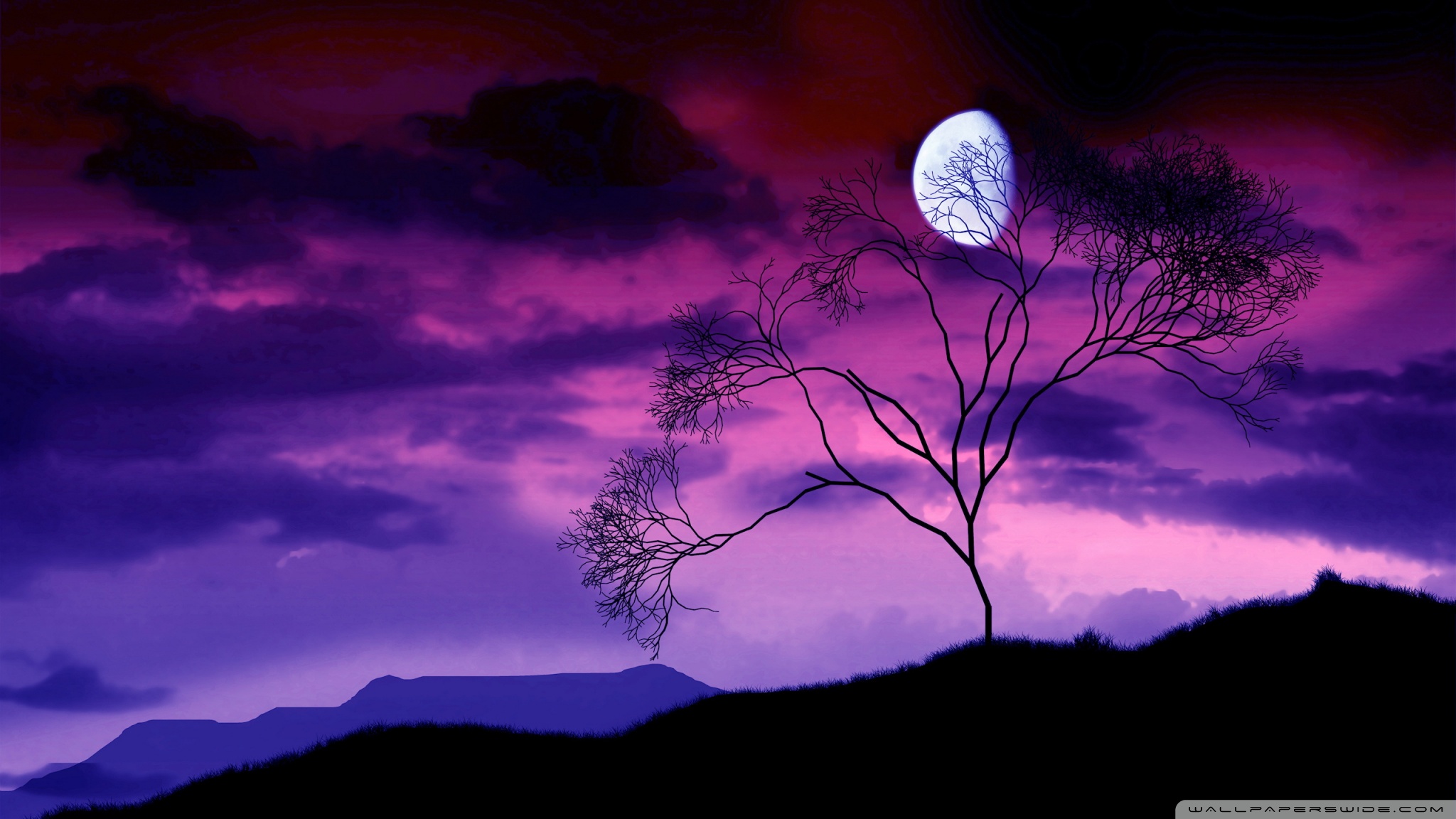 Hd 16 - - Night Sky Background With Moon , HD Wallpaper & Backgrounds