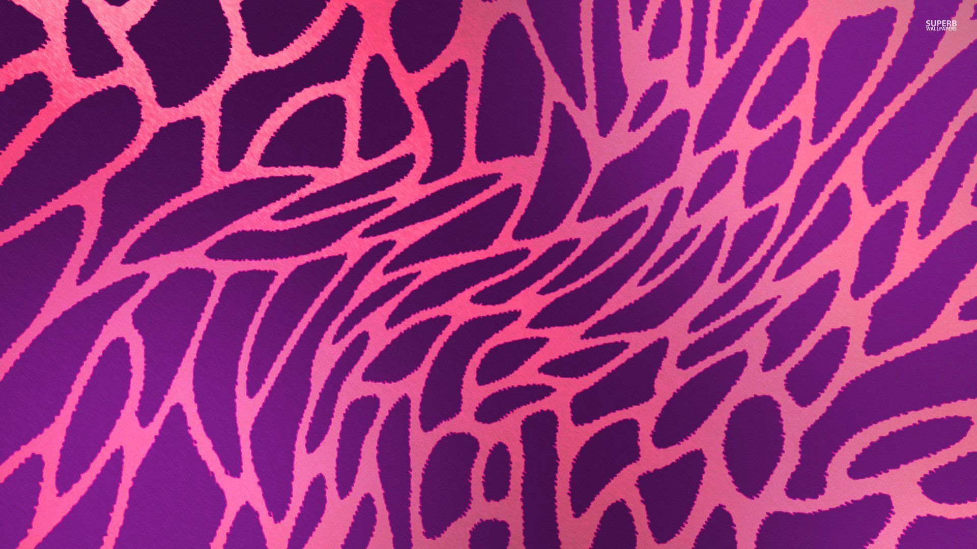 Cheetah Print Wallpaper Texture , HD Wallpaper & Backgrounds
