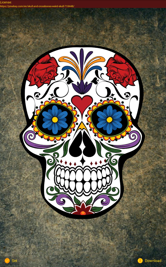 Day Of The Dead Wallpapers 562x900, - Skull For Dia De Los Muertos , HD Wallpaper & Backgrounds