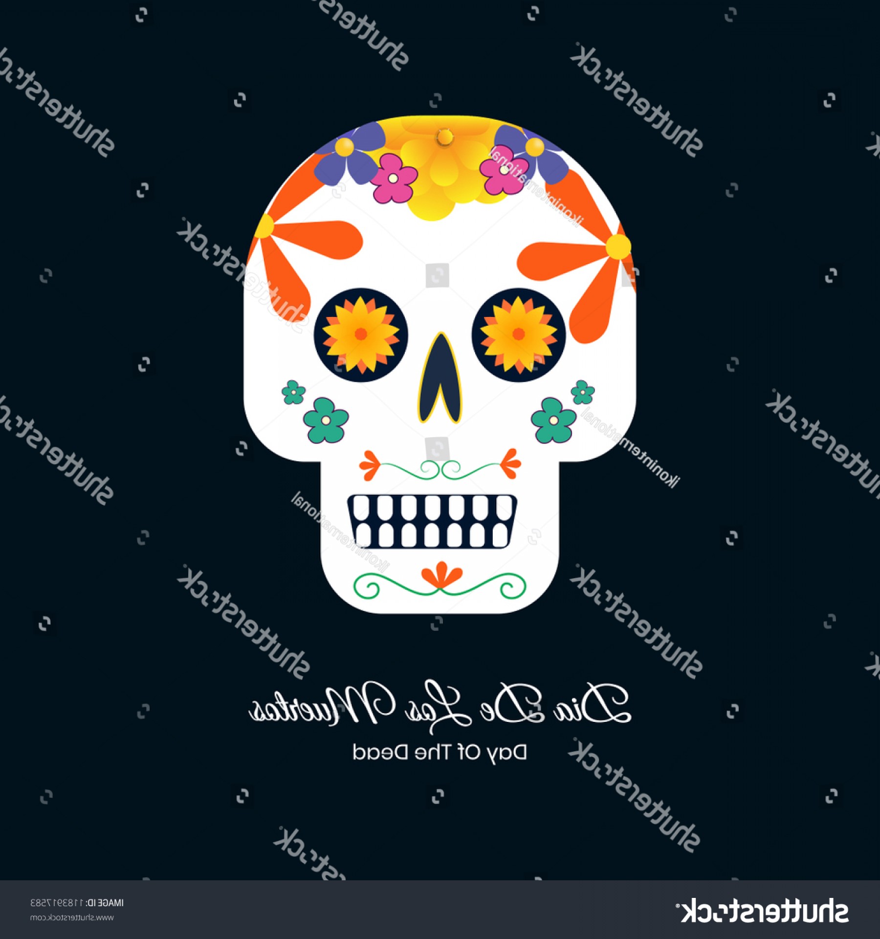 Dia De Los Muertos Colorful Vector - Skull , HD Wallpaper & Backgrounds