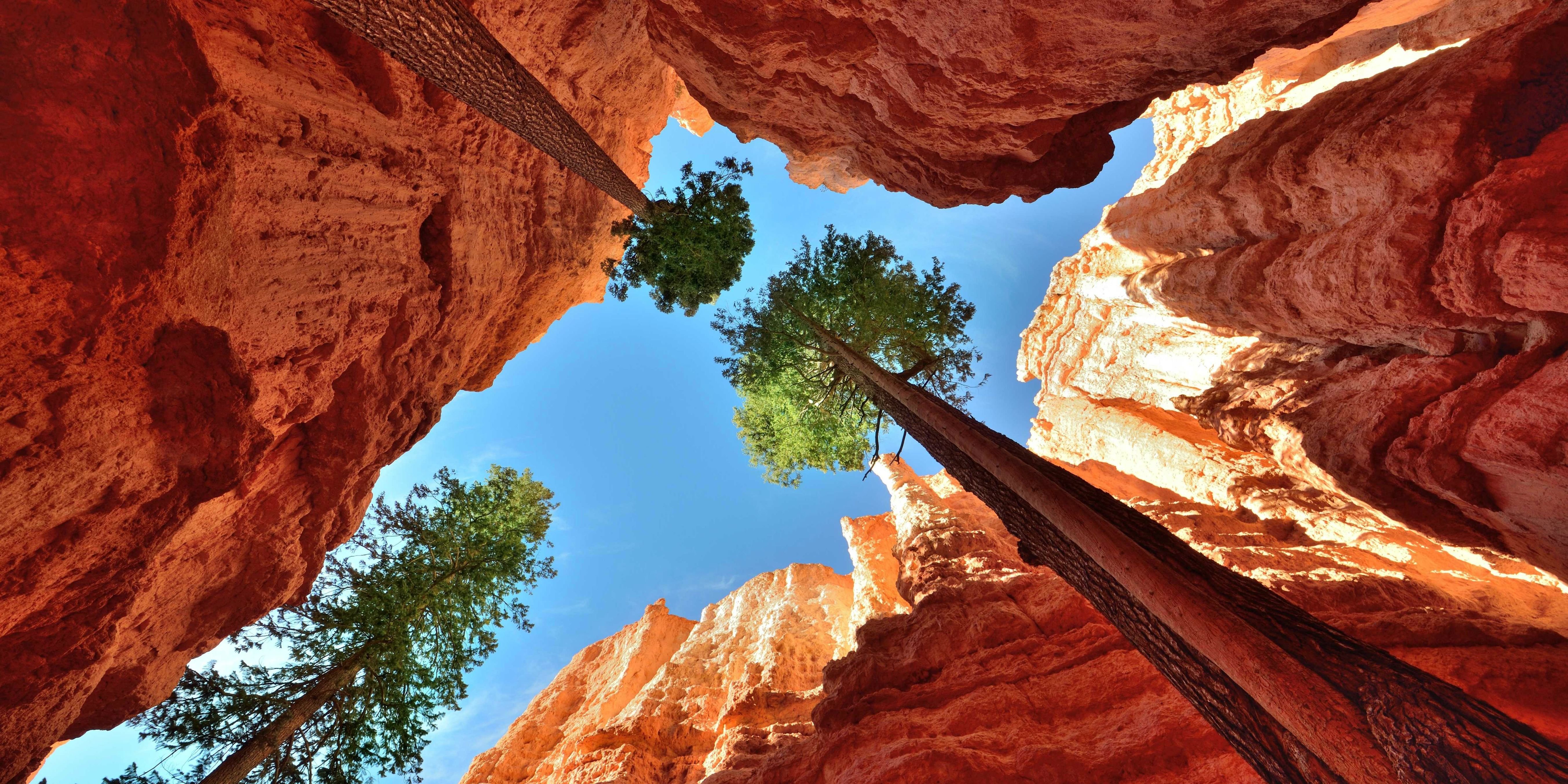 The Most Beautiful Places In The World Pictures Wallpaper - Ponderosa Canyon Bryce Canyon National Park , HD Wallpaper & Backgrounds