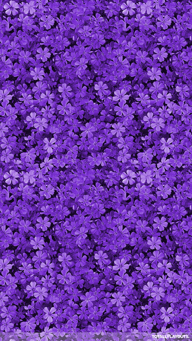 Purple Wallpaper Tumblr - Phone Background Purple Flower , HD Wallpaper & Backgrounds