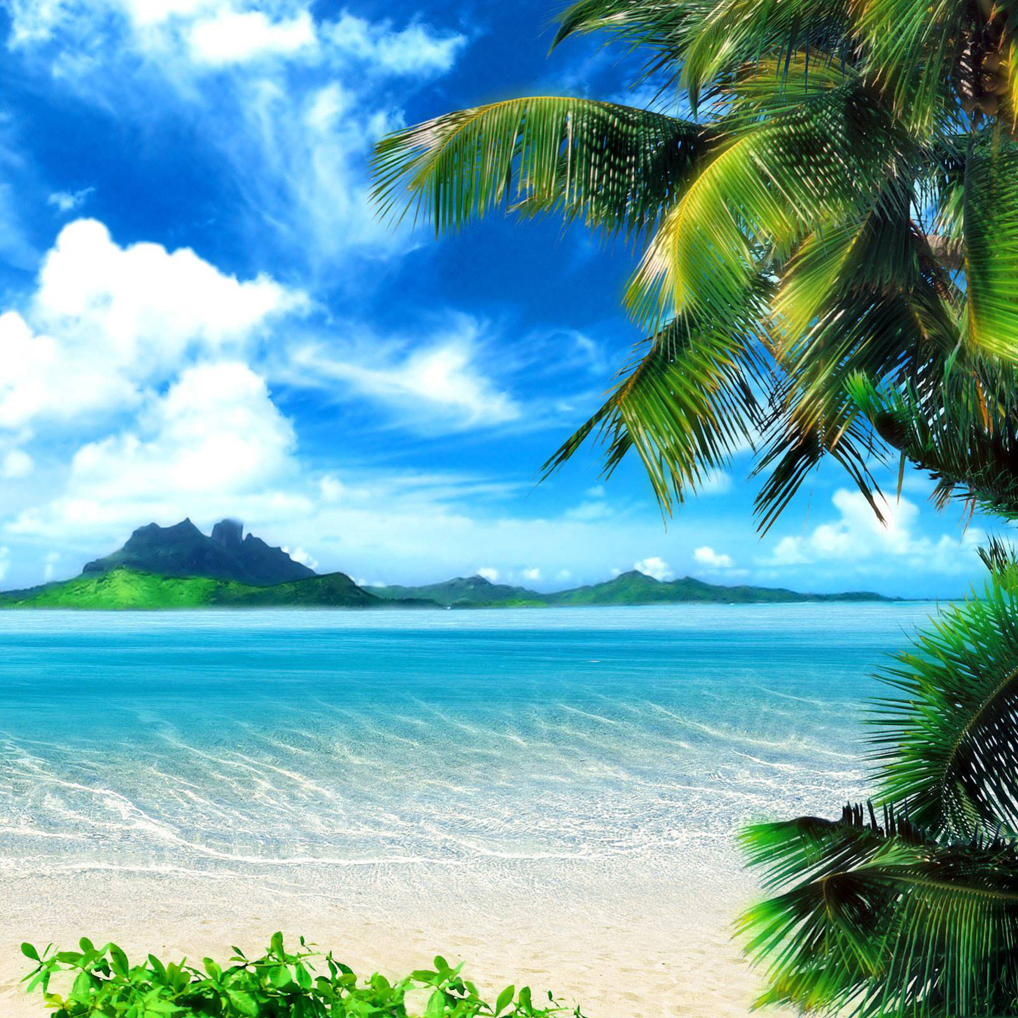 Summer Tumblr - Hd Ipad Wallpapers Beach , HD Wallpaper & Backgrounds