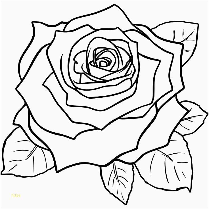 Tumblr Flower Wallpaper Fresh Vintage Roses Wallpaper - Draw A Rose Step , HD Wallpaper & Backgrounds