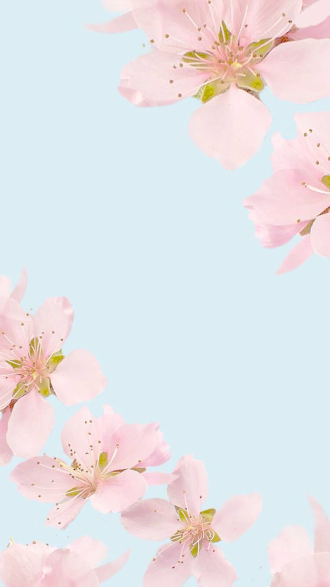 Tumblr Pretty Backgrounds, Floral Wallpaper Iphone, - Pink Flower Plain Background , HD Wallpaper & Backgrounds