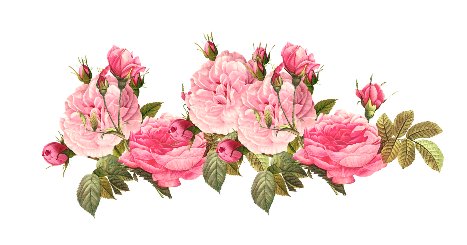 Pink Flower Png Tumblr - Flower Png , HD Wallpaper & Backgrounds