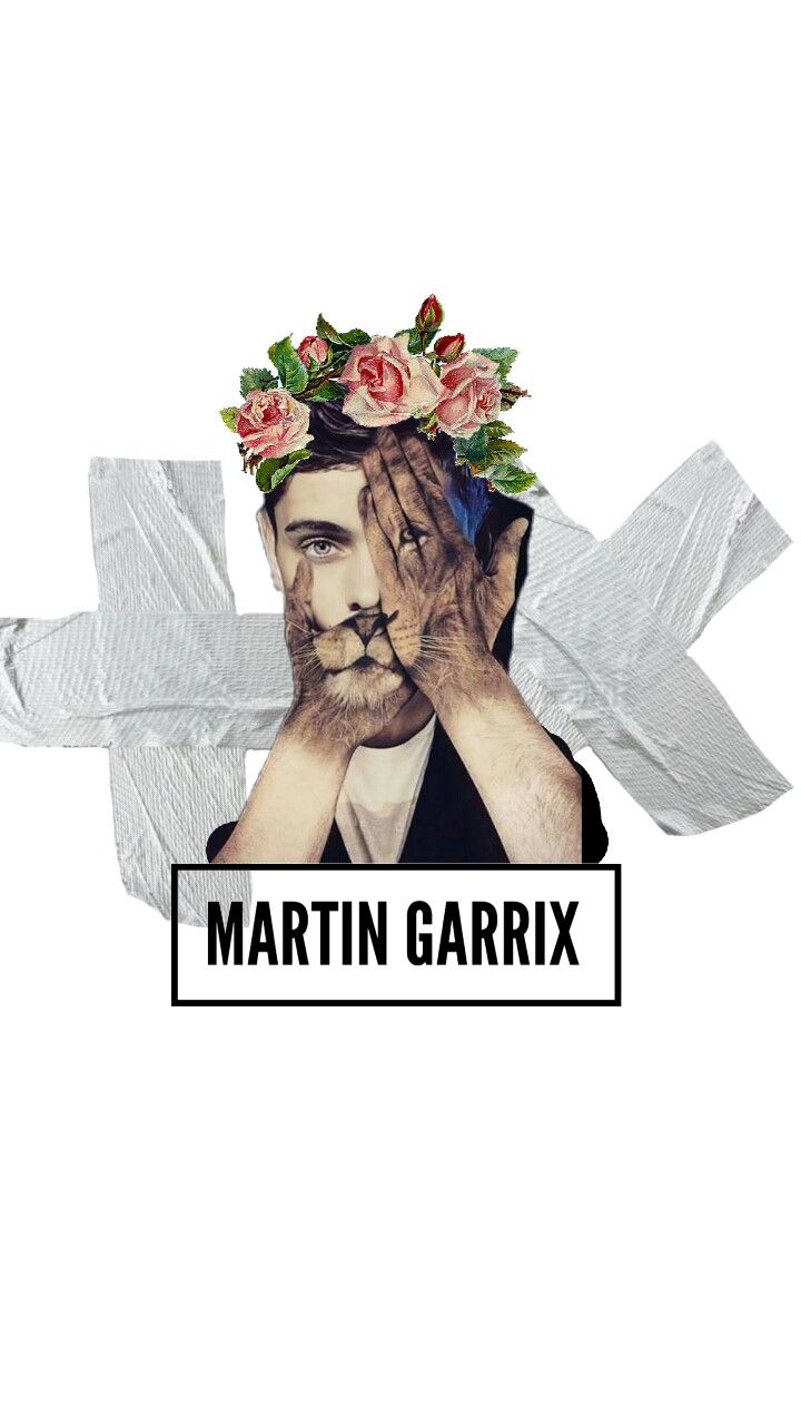 #martingarrix #martin #garrix #wallpaper - Garden Roses , HD Wallpaper & Backgrounds