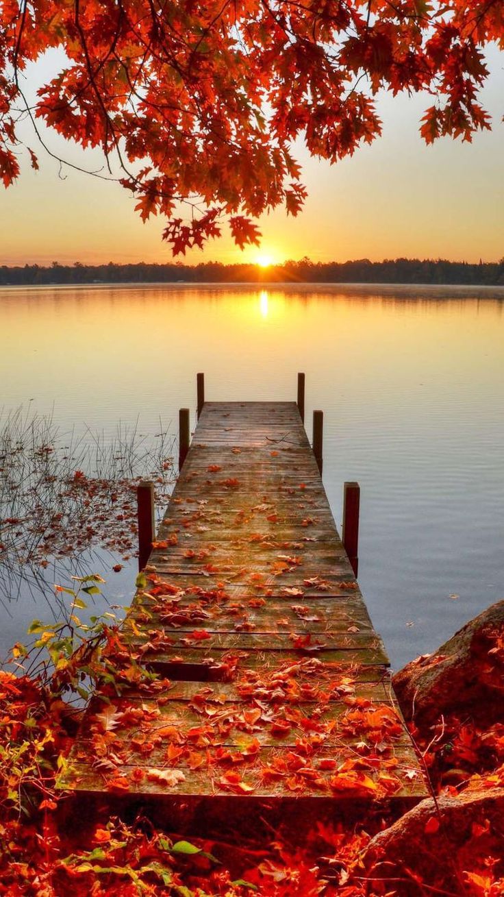 Best Fall Iphone Wallpapers Hd - Beautiful Autumn Sunset , HD Wallpaper & Backgrounds