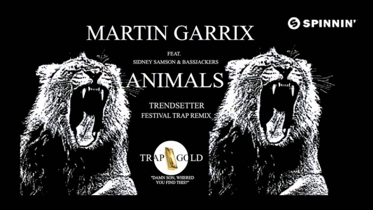 Coolest Martin Garrix Animals Wallpaper - Martin Garrix Animals , HD Wallpaper & Backgrounds