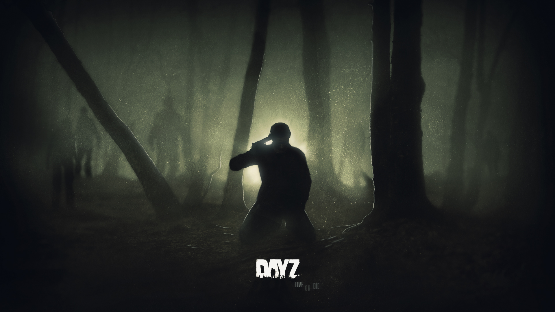 Dayz Suicide , HD Wallpaper & Backgrounds
