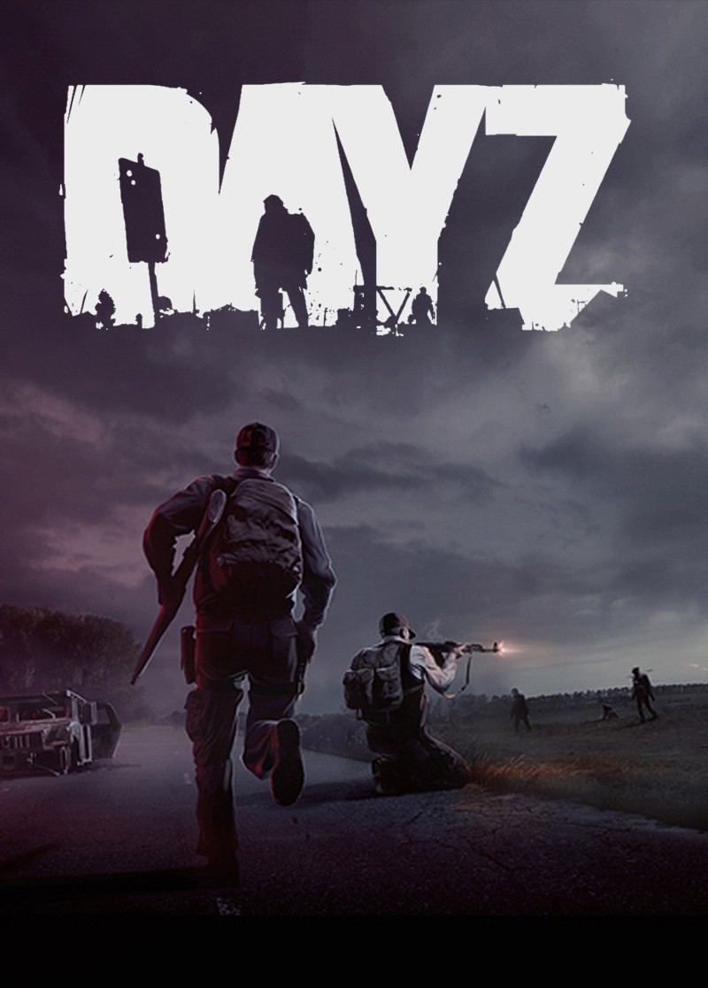 Dayz Pc Cover , HD Wallpaper & Backgrounds