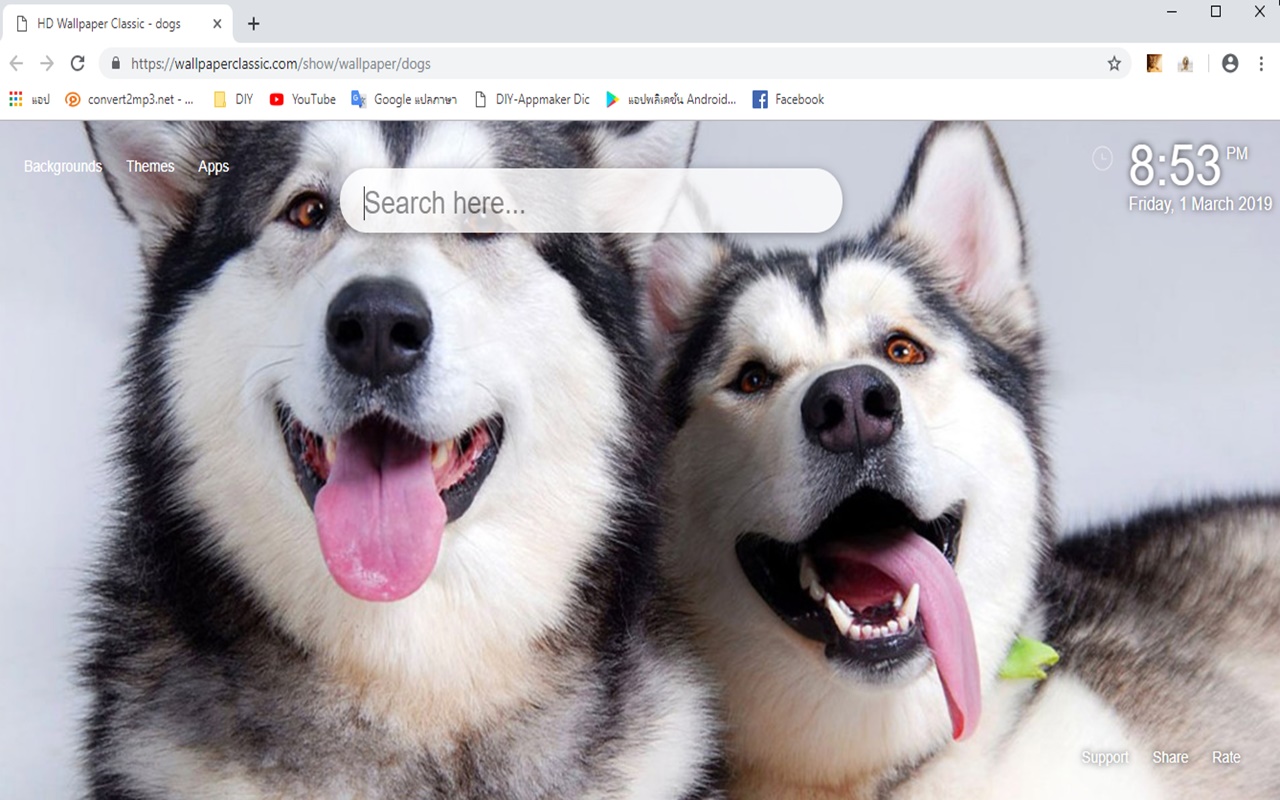 Husky Couple , HD Wallpaper & Backgrounds