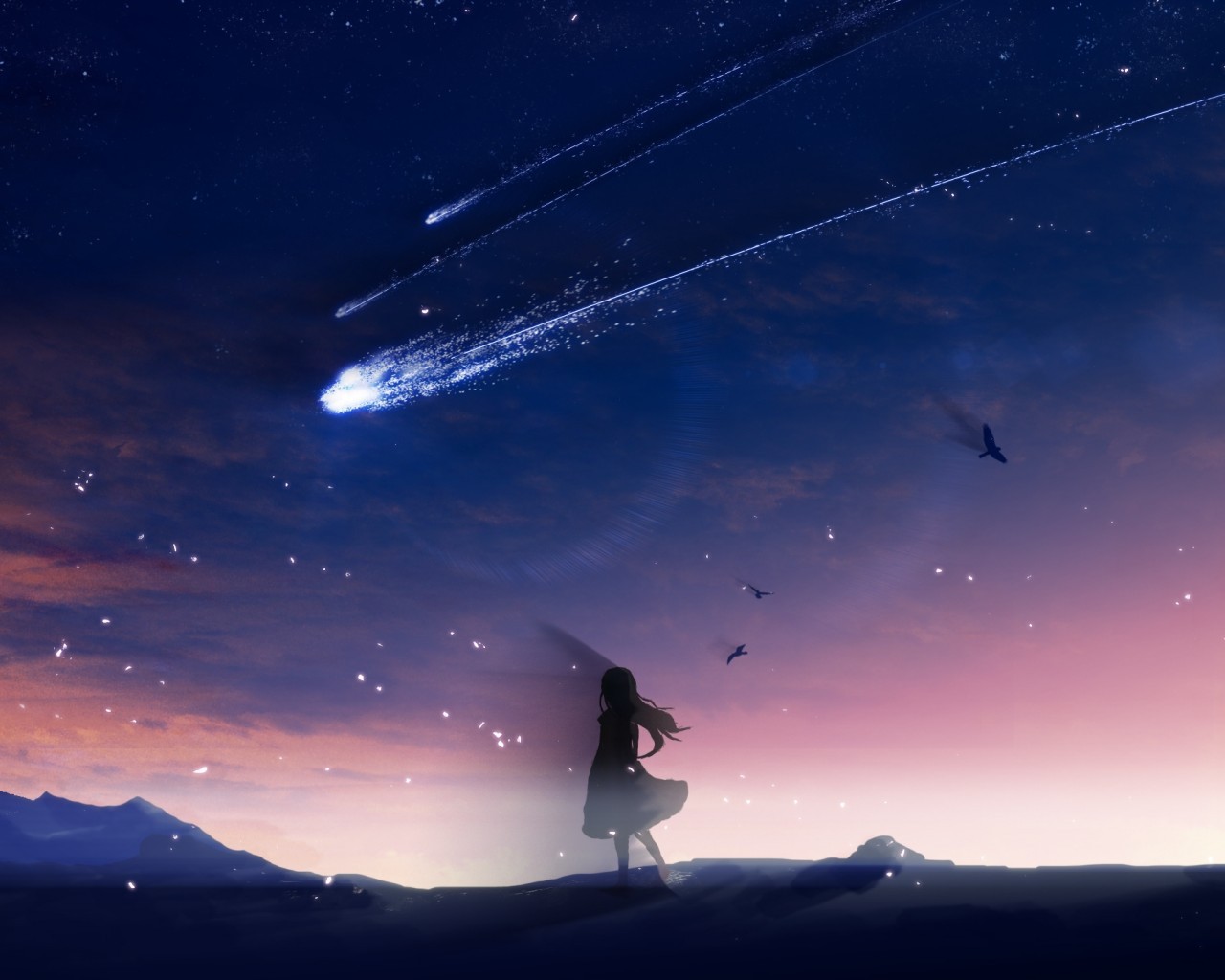 Anime Girl, Falling Stars, Scenic, Birds, Sky, Landscape - 1600 X 900 Anime , HD Wallpaper & Backgrounds